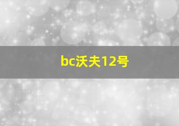 bc沃夫12号