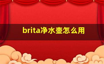 brita净水壶怎么用