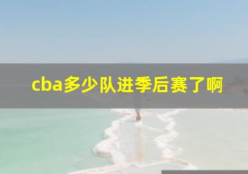 cba多少队进季后赛了啊