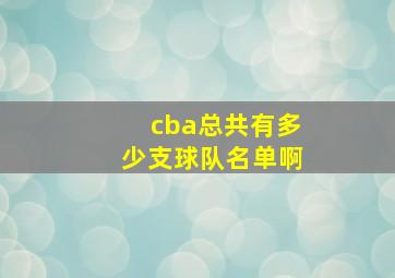 cba总共有多少支球队名单啊