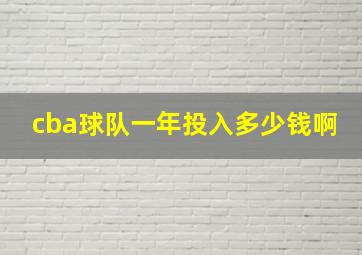 cba球队一年投入多少钱啊