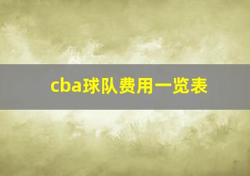 cba球队费用一览表