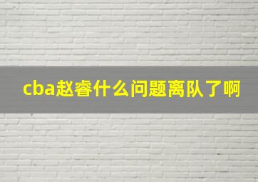 cba赵睿什么问题离队了啊