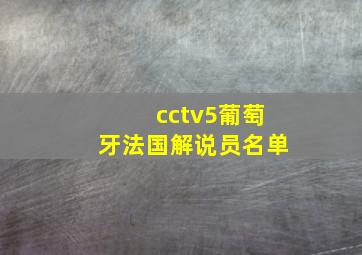 cctv5葡萄牙法国解说员名单