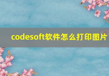 codesoft软件怎么打印图片