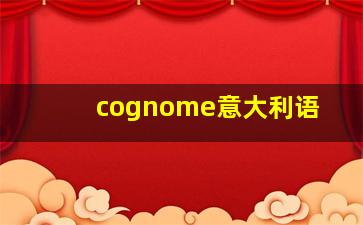 cognome意大利语