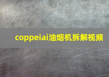 coppeiai油烟机拆解视频