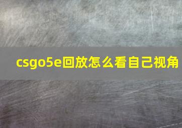 csgo5e回放怎么看自己视角