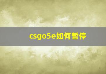 csgo5e如何暂停