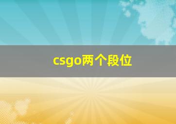 csgo两个段位