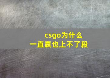 csgo为什么一直赢也上不了段