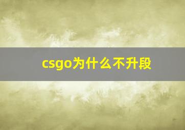 csgo为什么不升段