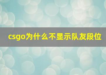 csgo为什么不显示队友段位