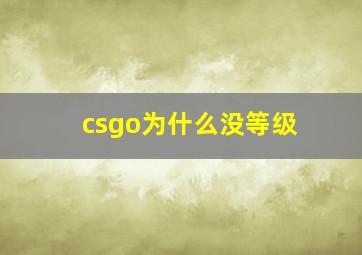 csgo为什么没等级