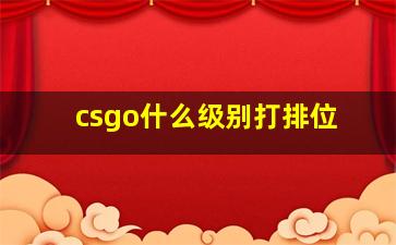 csgo什么级别打排位