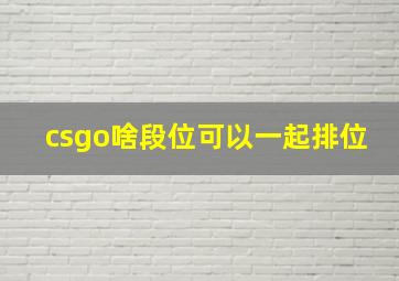 csgo啥段位可以一起排位