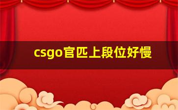 csgo官匹上段位好慢