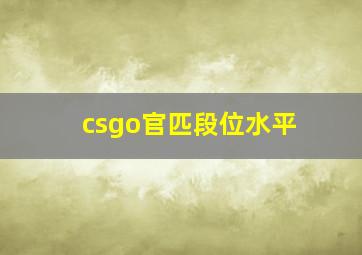 csgo官匹段位水平