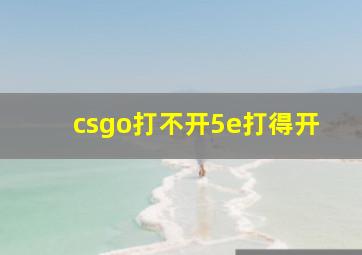 csgo打不开5e打得开