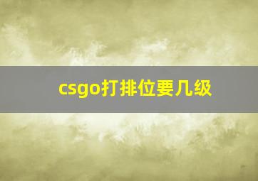 csgo打排位要几级