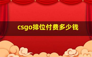 csgo排位付费多少钱