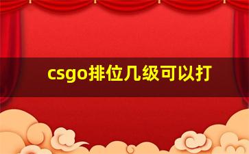 csgo排位几级可以打