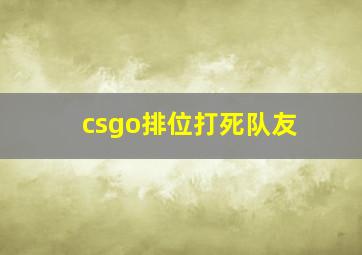 csgo排位打死队友