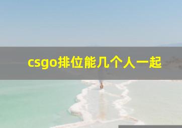 csgo排位能几个人一起