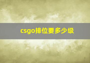 csgo排位要多少级