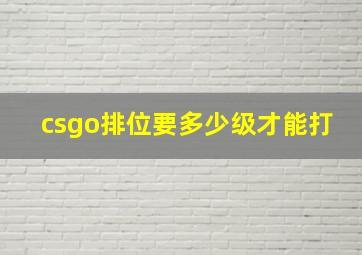 csgo排位要多少级才能打