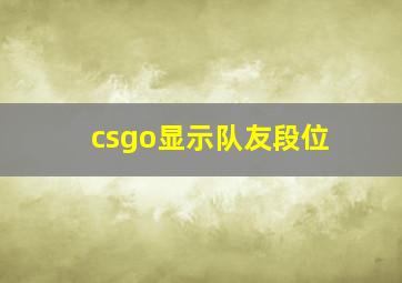 csgo显示队友段位