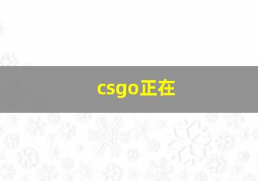 csgo正在