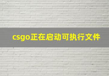 csgo正在启动可执行文件