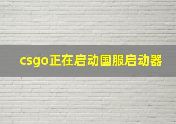 csgo正在启动国服启动器