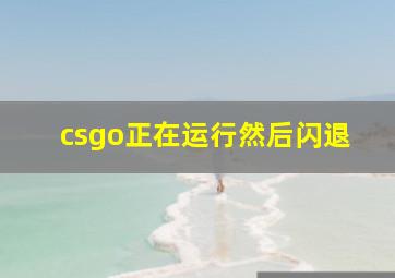 csgo正在运行然后闪退