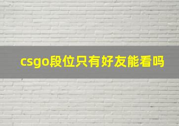 csgo段位只有好友能看吗