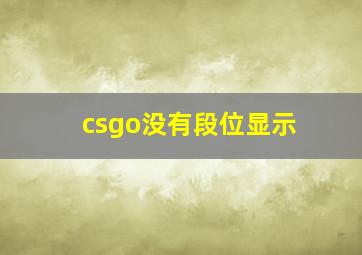 csgo没有段位显示