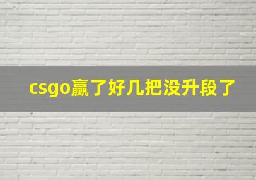 csgo赢了好几把没升段了