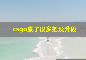 csgo赢了很多把没升段