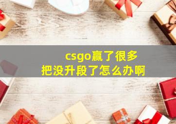 csgo赢了很多把没升段了怎么办啊