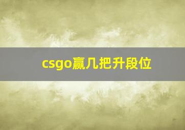 csgo赢几把升段位