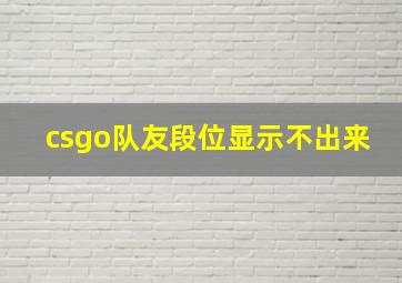 csgo队友段位显示不出来