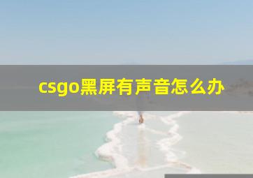 csgo黑屏有声音怎么办