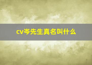 cv岑先生真名叫什么