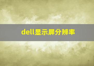 dell显示屏分辨率