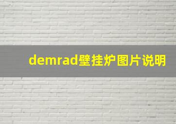 demrad壁挂炉图片说明