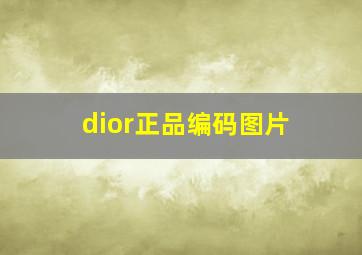 dior正品编码图片