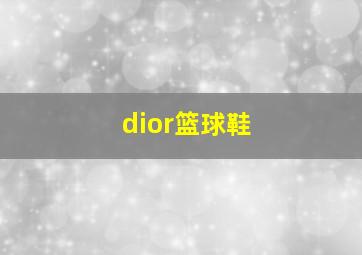 dior篮球鞋