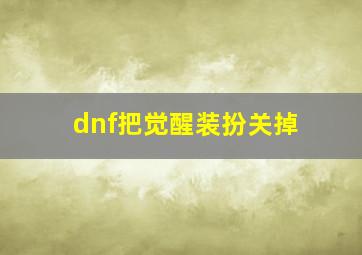 dnf把觉醒装扮关掉