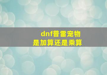 dnf普雷宠物是加算还是乘算